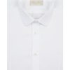 Bruce Field Chemise Dan Coupe Tres Cintree Pur Coton Palma Wholesale